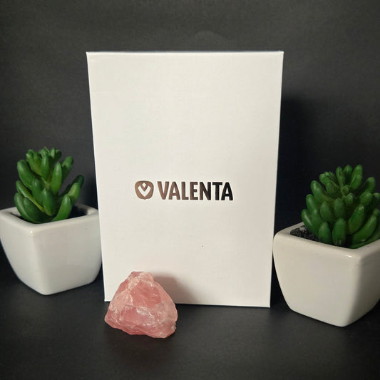 Valenta Card Protector for MagSafe