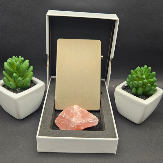 Valenta Card Protector for MagSafe