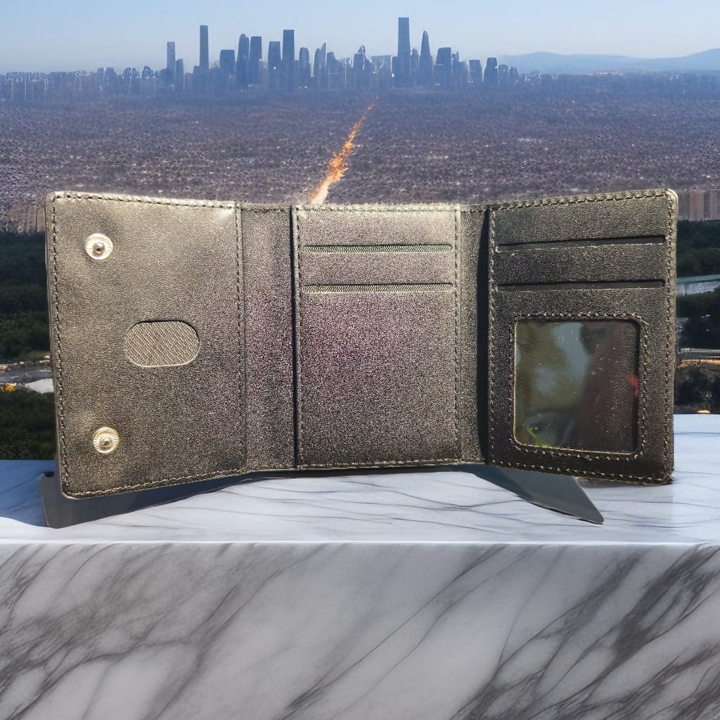 Magnetic Wallet